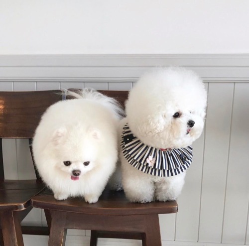 rosyliptint: instagram.com/p/BPLoHwIgKdg/