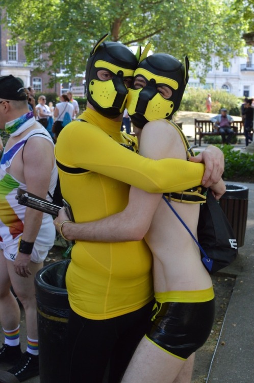 puppixel:Some pics from this year’s London Pride