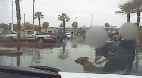 Horrifying Video Shows Cops Sic K-9 on Infant Daughter of a Man they Mistook for