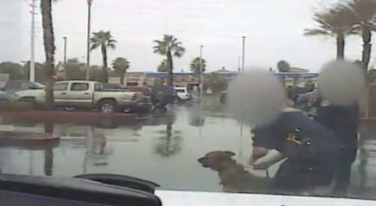Horrifying Video Shows Cops Sic K-9 on Infant Daughter of a Man they Mistook for a Suspect