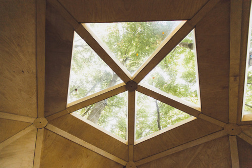 Baumhauskugel. A rustic ball-shaped treehouse in the forest of Hesse, Germany. 