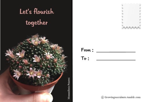 growingsucculents: growingsucculents: growingsucculents:i made some cute Valentines day cards! Feel 