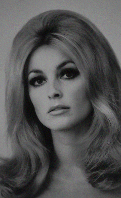 normajeanebaker:Sharon Tate photographed adult photos