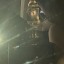 thecrabsarecoming