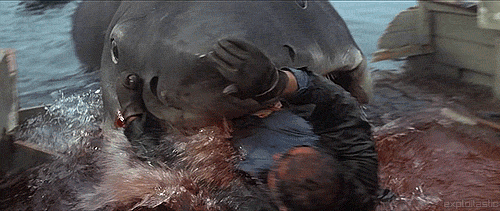 fangirl-of-epic-everythings:  marvelousmischief:  princessdust:  thingsaredifferenthere:  Is this what it feels like to have a period?  yes  exactly  HOLY CRAP I WAS JUST SCROLLING BY AND IT’S LIKE ‘oh there’s captain quint being eaten by the jaws