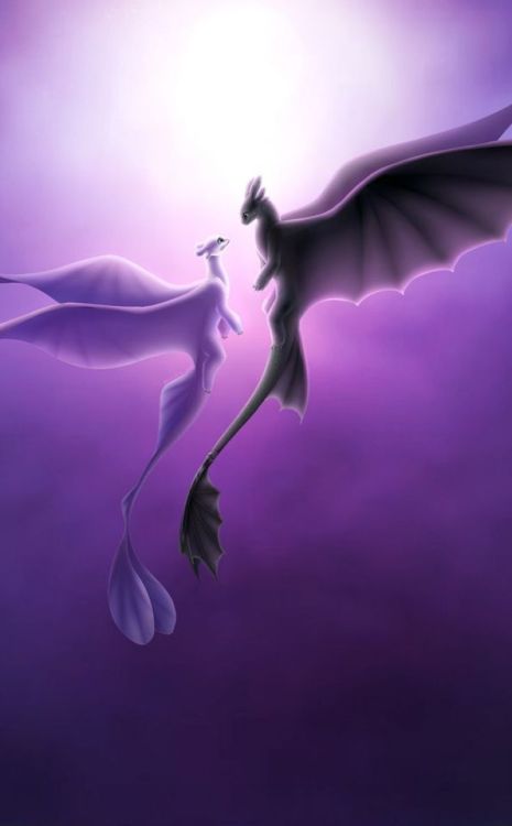 Toothless and light fury, romantic, love, Dragons, 950x1534 wallpaper @wallpapersmug : ift.t