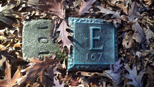 hardingaveimages:  E167 #oakridgecemetery #springfield #illinois #cemetery #headstones #16x9 #16x9club #16x9captures #16x9photography  (at Oak Ridge Cemetery) 