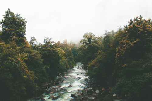 nicwilsonphotography:Misty Rivers || Nic Wilson