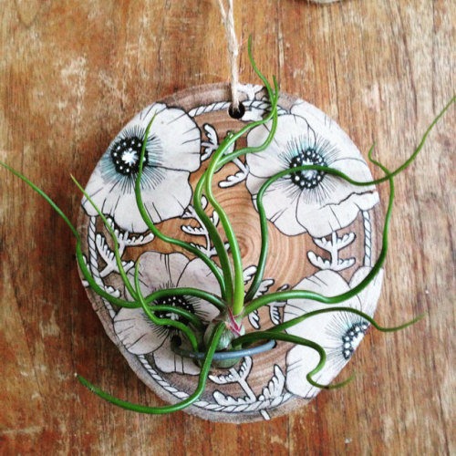 sosuperawesome: Air Plant Holders and Art by Noa Alon on Etsy More like this