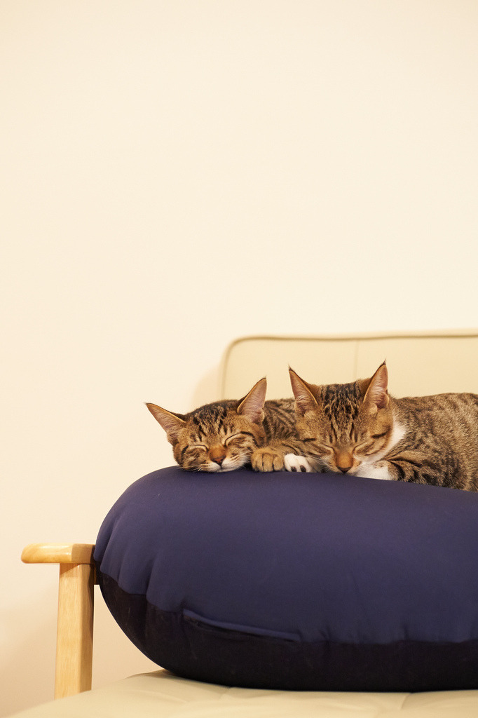 llbwwb:  Nitey nite dear Friends:) (by rampx) 