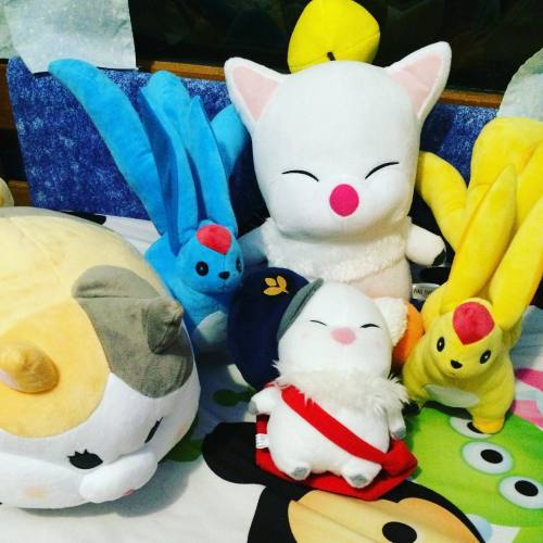 My FFXIV plushie collection expanded very quickly during my Japan trip lolFat cat was waiting for me