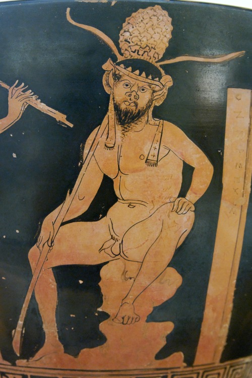 A seated satyr.  Side A of an Attic red-figure skyphos, artist unknown; 5th cent. BCE.  Now in the R