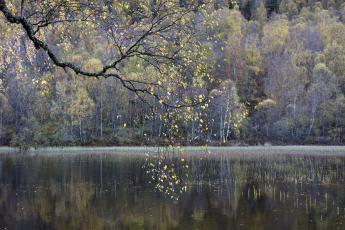 Autumn in Scotland by peter spencer