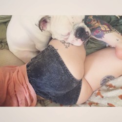 strangevibezz:  THE BOOTY GUARDIAN 🐶