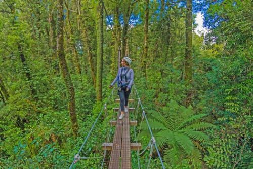 Canopy Tours, Rotorua, New Zealand
