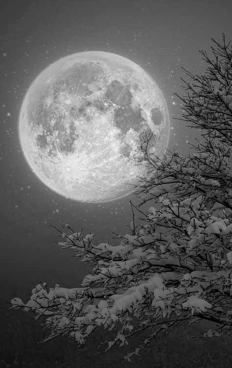 gretichuthings:  … itt: We Heart It. 