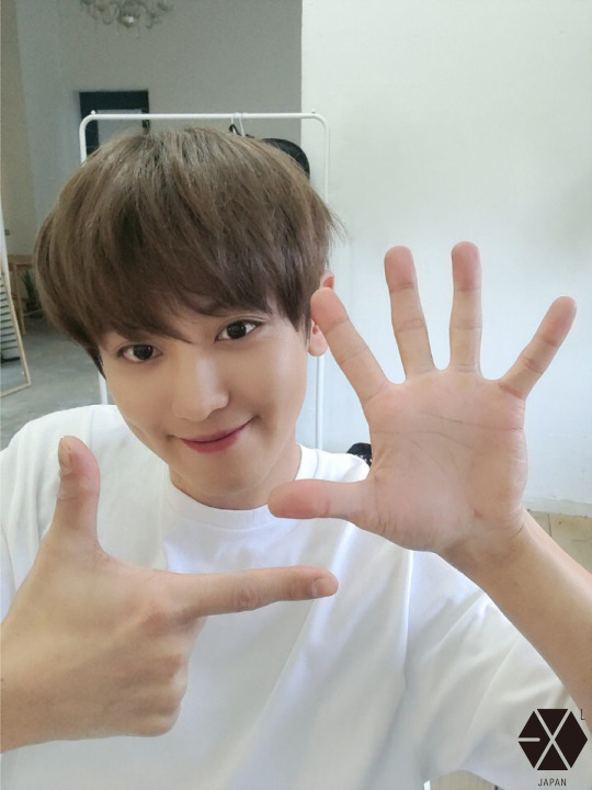 Dailyexo Translation Exo 1104 Official Exo L Japan Dailyexo Translation Exo 1104 Official Exo L Japan
