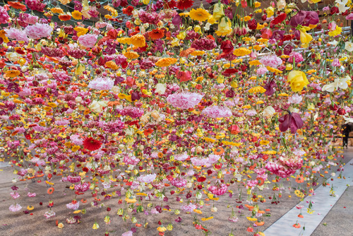 Sex sad-plath:   rebecca louise law   pictures