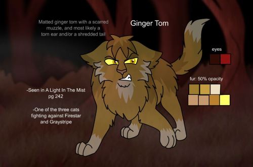 Ginger Tom(2022 version)