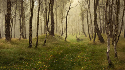 te5seract: Bolehill II,  Enchanted &amp; Webs &amp; Dew by vuzephotography.co.uk