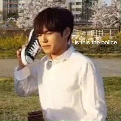 My Bais: *Flashes Abs*