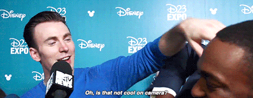 dailychrisevans:Chris Evans and Anthony Mackie at D23 Expo 2015