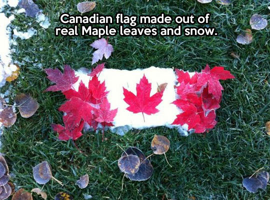 the-legend-of-merlin:  freak-next-door:  gishkishenh:  THAT’S SO HARDCORE CANADA