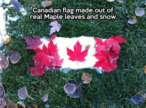 the-legend-of-merlin: freak-next-door: gishkishenh: THAT’S SO HARDCORE CANADA Reblog if you be