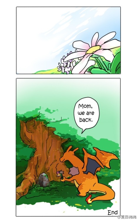 blackmodel:pkmnrivals:yen-sama:HIS DAD IS A DITTOI AM NOT OKAY*SOBS*My heartViviabisvisbibi OMG……… M