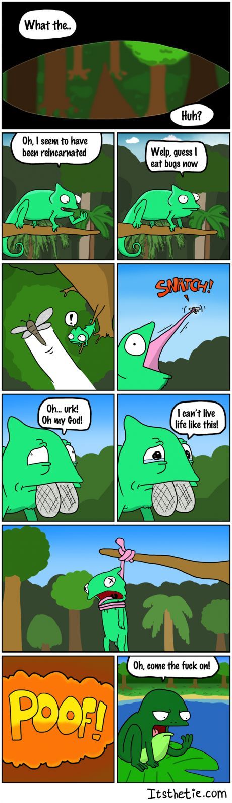 lol  This tickled me.