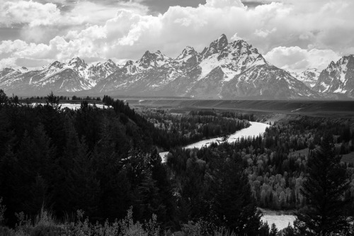 Grand Teton