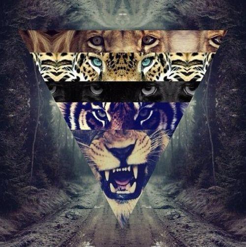 likeaf1sh:  photography en We Heart It.