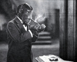 arcaneimages:  The Monkey Talks 