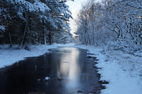 Flooded and frozen path by Jaap Berghoef on Flickr.