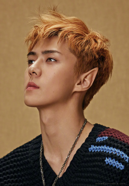 elf!sehun ♥