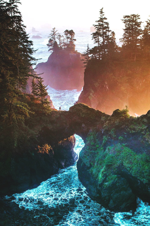 XXX lsleofskye:  The Oregon Coast never seems photo