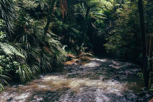 Bridal Veil Falls, Raglan, Waikato, NZ.Huka Falls, Lake Taupo, Taupo, NZ.