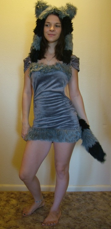 mygirlfund-events:  Faeleigh is a soft, lustrous and furry raccoon  