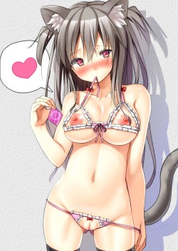 happihentai:  REQUEST: boythatescelatedquicklyHow would you feel about some cats in heat? :3“You can tell these nekos are in heat by the hearts in their eyes and their willingness to satifies their masters in everyway possible ;) ;)” -HAPPI