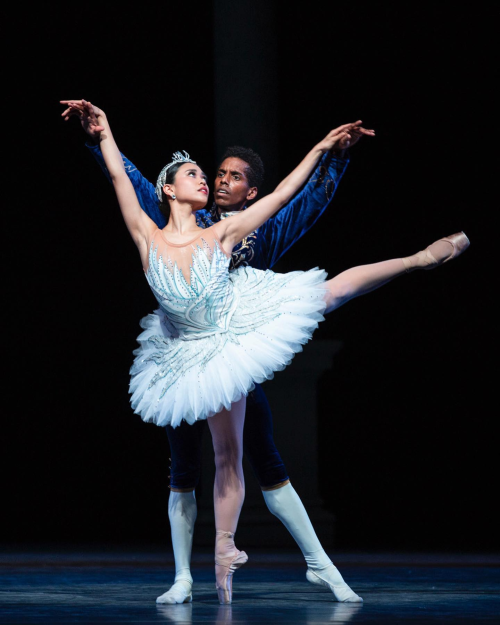 angelica generosa and jonathan batista photographed performing as odette and prince siegfried in swa