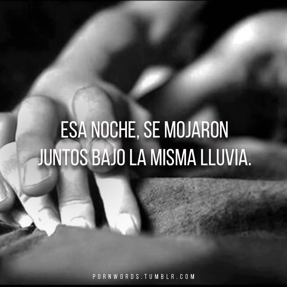 Frases porno