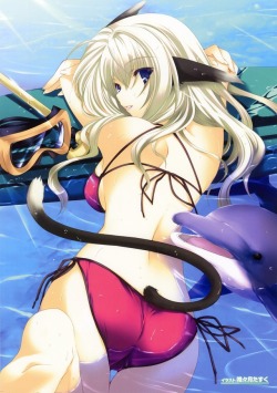 iizuki tasuku animal ears ass bikini nekomimi