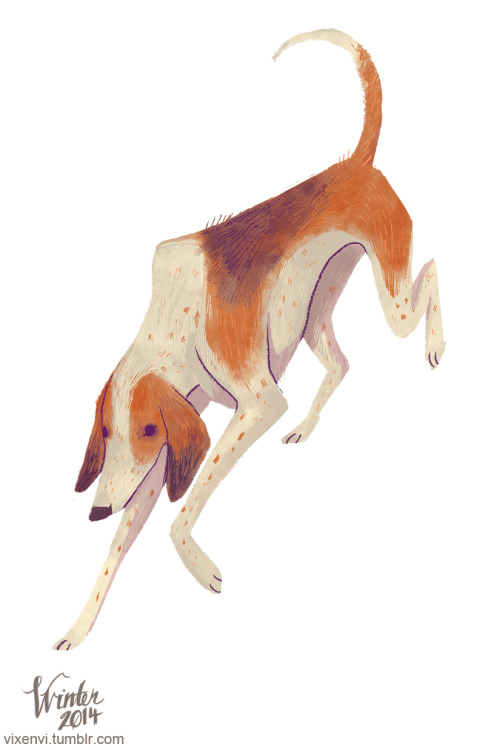 I tried to cheer myself up today by drawing some more dogs for the zines. Almost all the dogs are ta