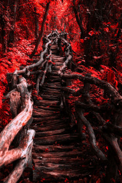 lori-rocks:  Magical Red Path….by  Hanson
