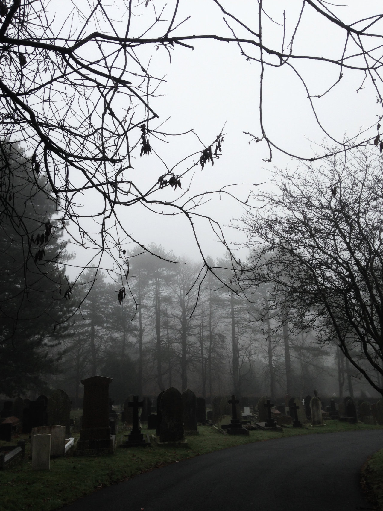 Von black A Foggy Winter Morning Walk Tumblr Pics Von black A Foggy Winter Morning Walk Tumblr Pics
