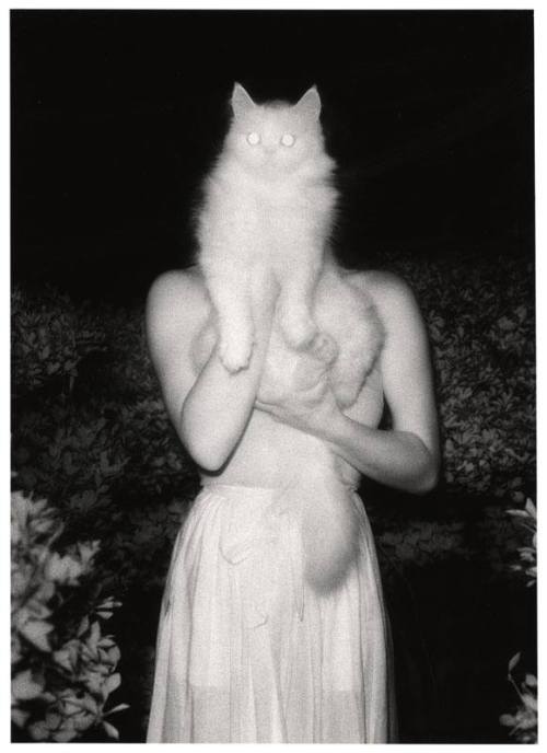 escorpiangel:Masaaki Miyazawa - Once Upon a White Night, September 15, 1981 