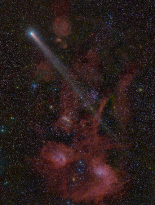 Comet ZinnerCredit: (Ritzelmut)