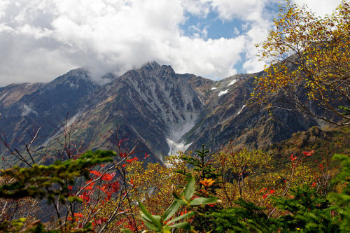 Large snowy valley with autumn leaves take edge by tez-guitar on Flickr.