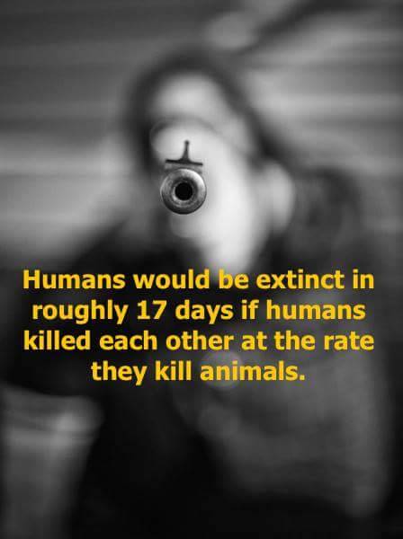 necessaryveganism:  x