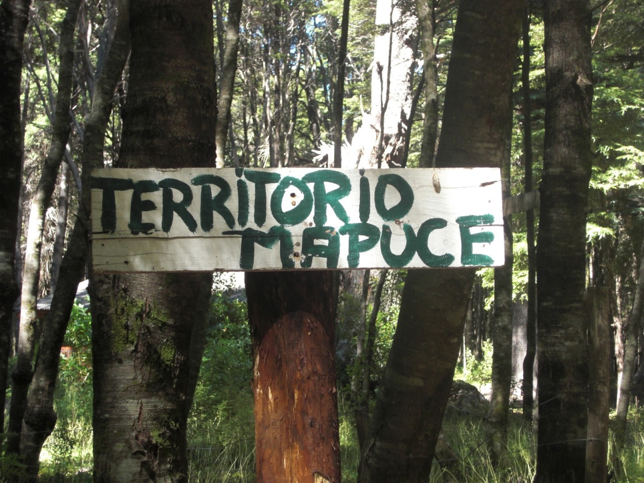 humorhistorico:  Antes de criticar al mapuche, lea esta historia.En los 80 Pinochet